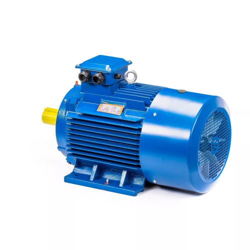 5АИ 225 М6 37/1000 IM1001